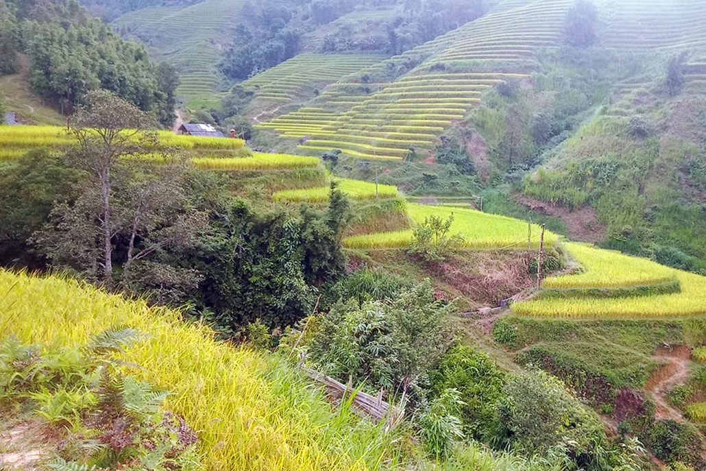 Ha Giang Walking Tour 8 Days